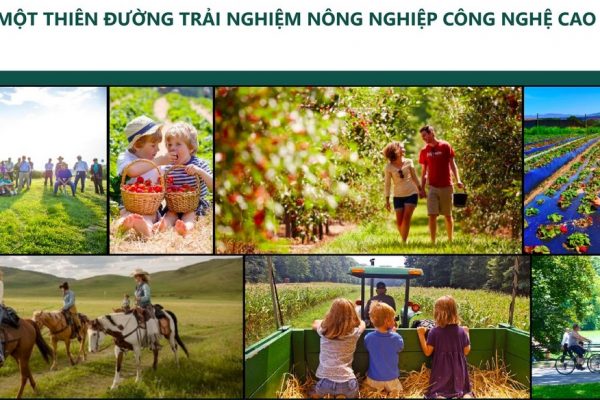 Nong Nghiep Cong Nghe Cao Sunshine Heritage