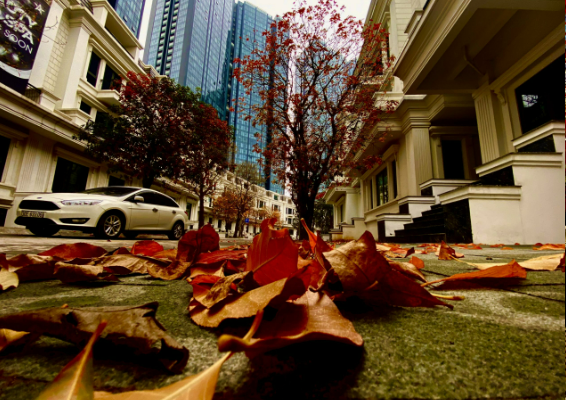 Không Gian Nội Khu