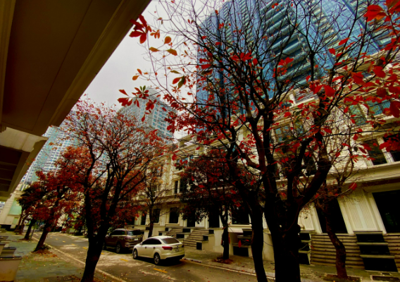 Không Gian Nội Khu